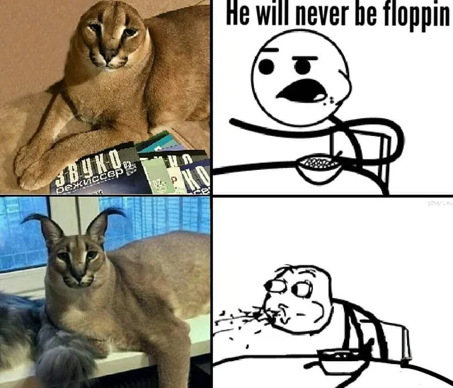 Pasted image 20250917193102.png